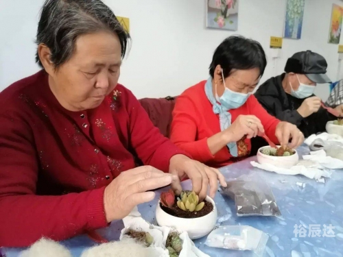 爱尚论坛，情感交流的温馨家园