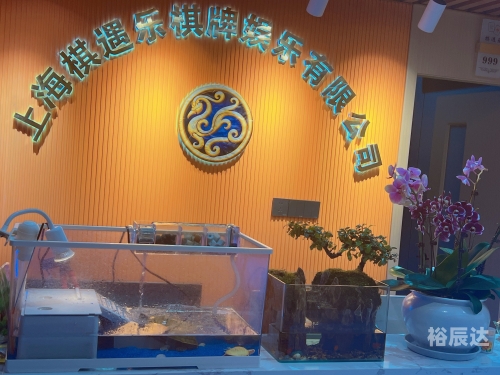 宝都棋牌，棋牌游戏的魅力与体验-第2张图片