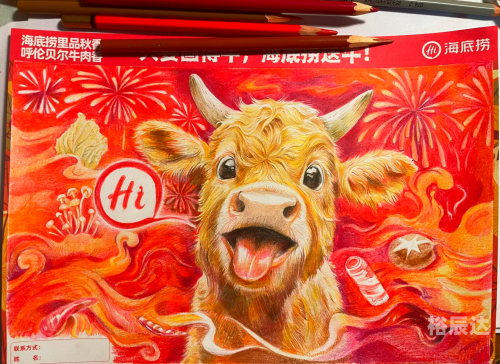 一起牛一起牛，共享奋斗与成功的旅程