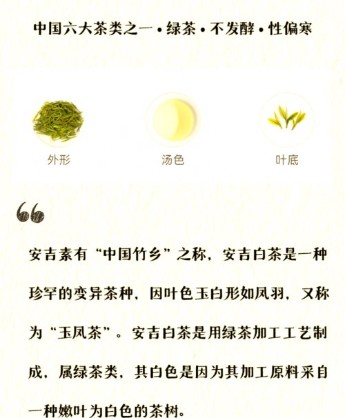 白茶比较出名的品种白茶最出名的几种-第2张图片