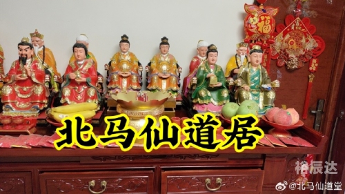 今日出马结果