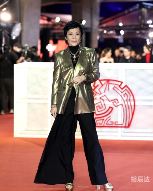 2007金马奖红毯2007金马奖，璀璨星光下的辉煌历程-第2张图片