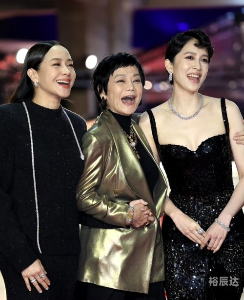 2007金马奖红毯2007金马奖，璀璨星光下的辉煌历程