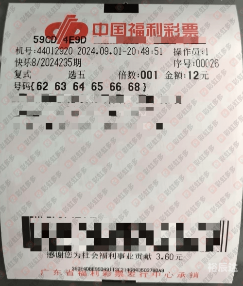 365彩票探索365彩票，数字娱乐的新篇章