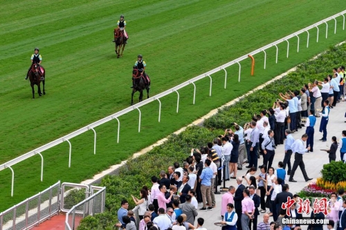香港赛马会精准资料大全查询香港赛马会免费资源网，探索免费资源的无尽宝藏