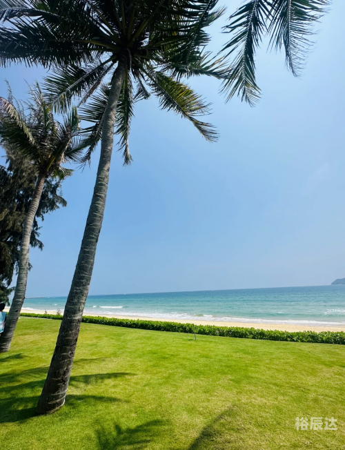 海南自驾游3个小时挪了300米海南自驾游，3小时挪了300米，畅游海岛风光-第1张图片