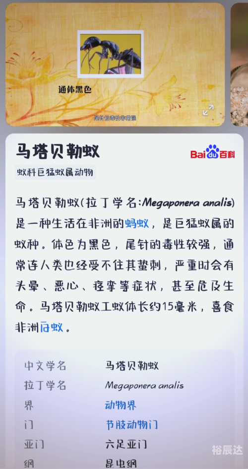 蚂蚁塔防-第1张图片