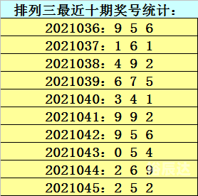 金彩网官网入口金彩网，引领数字时代的璀璨之网-第1张图片