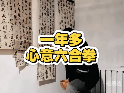 六合拳彩六合拳彩，传统武术的魅力与幸运-第2张图片