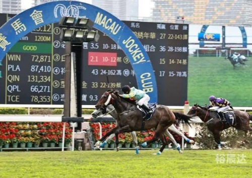 香港全年资料马会大全香港全年资料马会大全-第1张图片