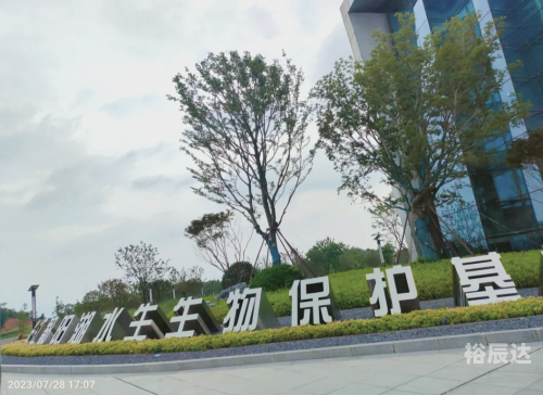 大连东海手机论坛大连东海手机论坛，探索科技与生活的新交汇点