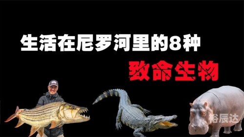 蟒生异界-第1张图片