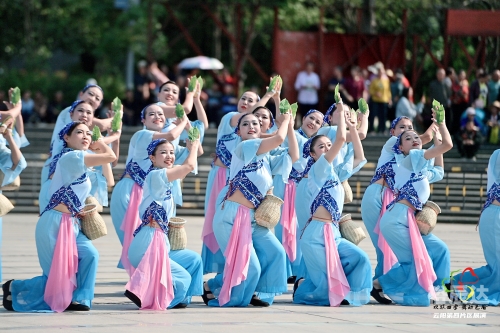 最新广场舞2025最新广场舞2013，活力四溢的舞蹈盛宴