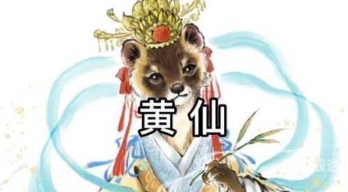 黄大仙精准资料免费大全