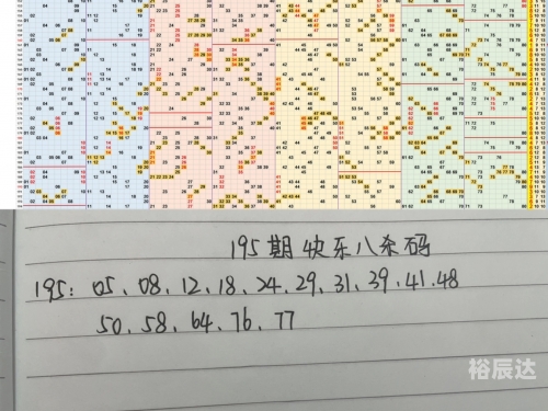 最准一码一肖，100%精准预测的神秘力量