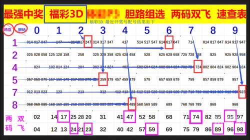 探索17500首页乐彩网，彩市新动态与投资机会