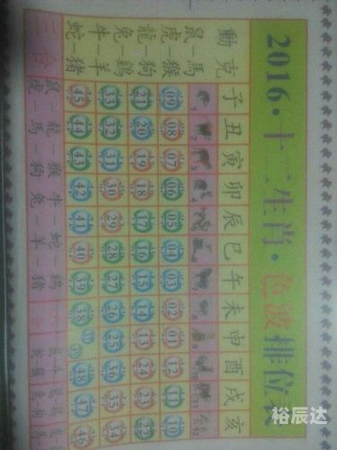 2023年生肖49码图