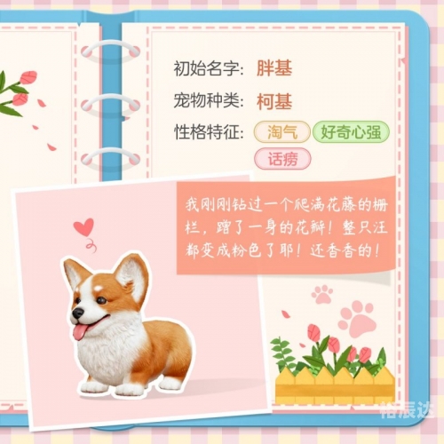 期待冒险