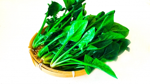 白菜网注册秒送金28元菠菜娱乐，探索多彩的娱乐世界
