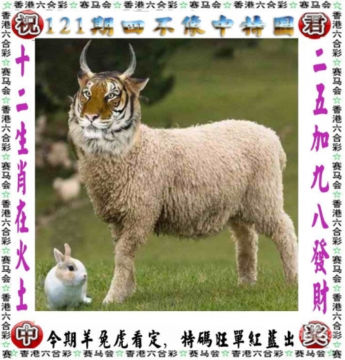 澳门历史2024开奖记录