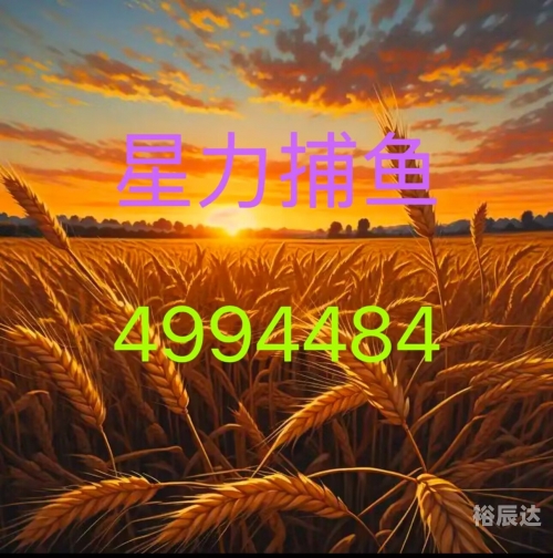 星力手机捕鱼星力手机捕鱼，科技与娱乐的完美结合