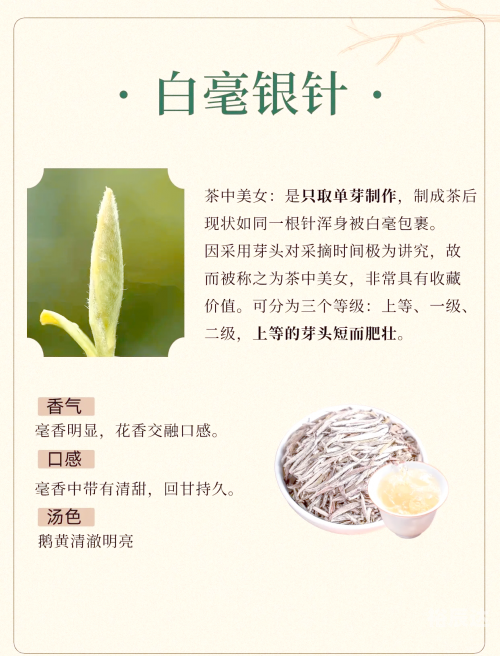 白茶最出名的几种-第1张图片