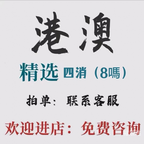 新澳门，一码一肖一特一中的神秘魅力
