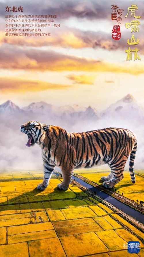 苍穹之怒苍穹之怒，探索宇宙的壮丽篇章-第2张图片