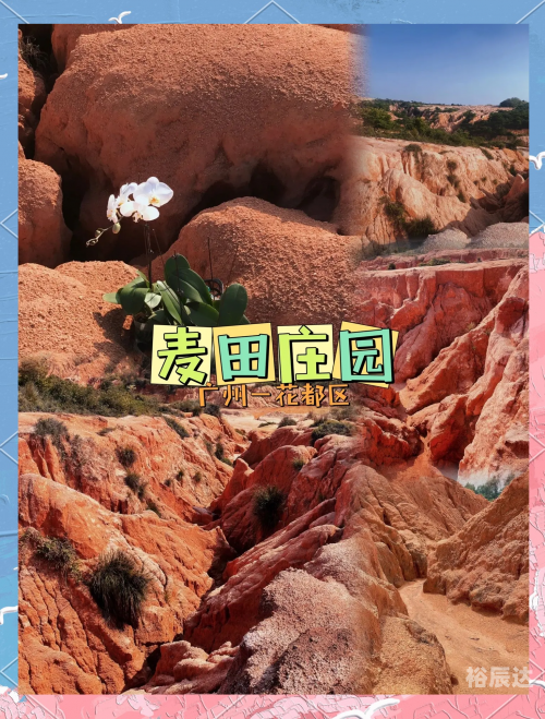 花都特工，暗流涌动的神秘世界-第1张图片