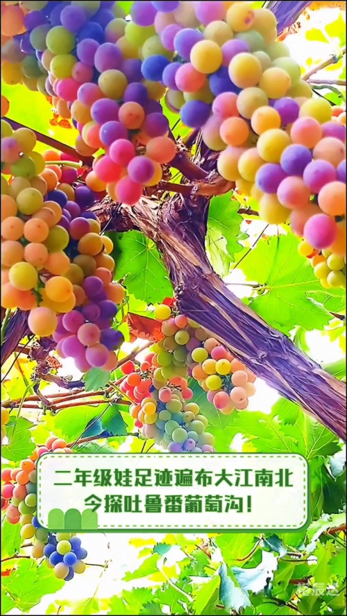 新疆葡萄沟，葡萄之乡的美景与风情-第1张图片