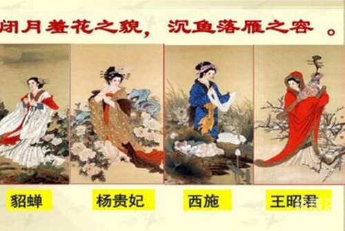 貂蝉满座指的是什么生肖貂蝉满座打一生肖——虎