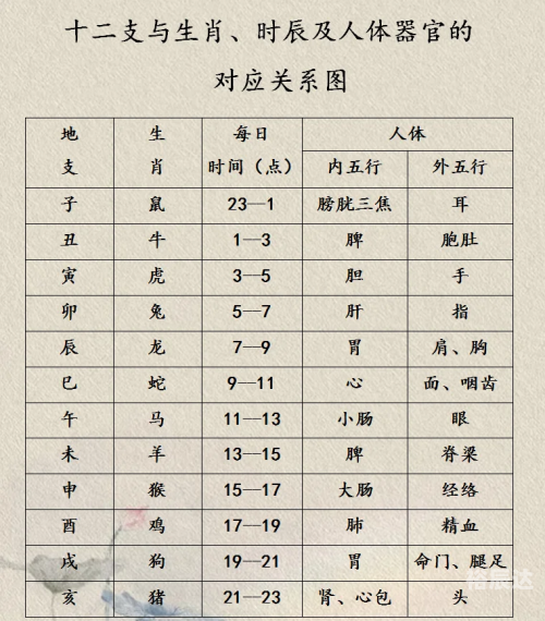正确的十二时辰对照表生肖正确的十二时辰对照表