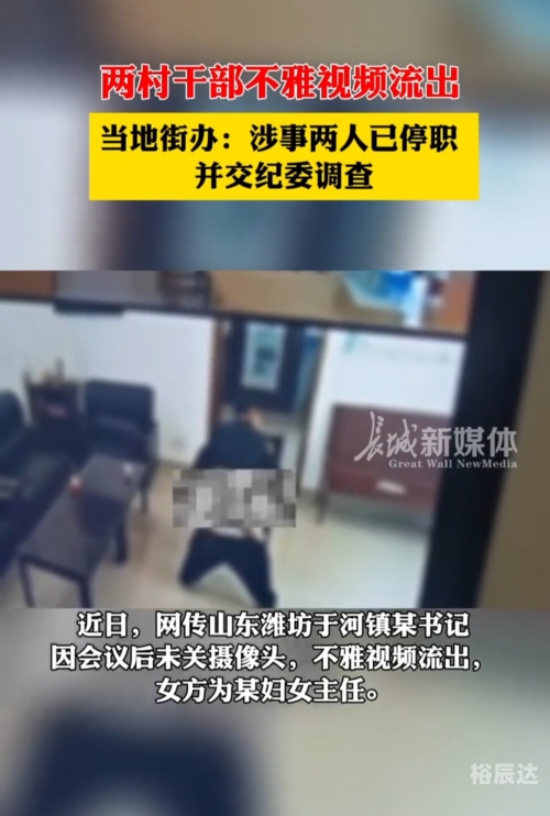 村干部被曝不雅视频事件