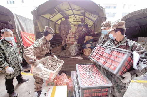 地面防卫军，守护国家安全的钢铁长城