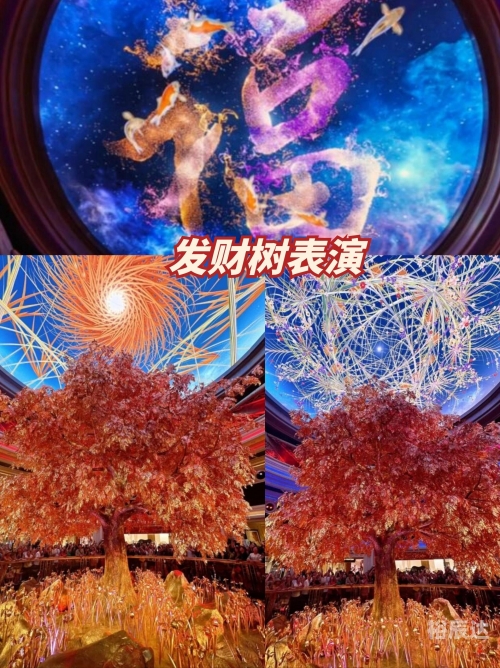 2024今晚澳门开奖号码是多少2024今晚澳门开奖号码揭晓-第1张图片