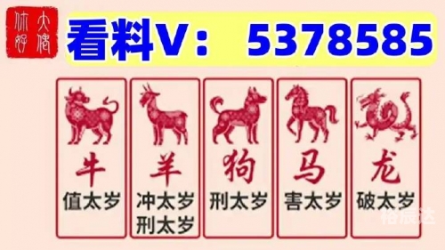 澳门特马今晚开码，展望新的一年-第1张图片