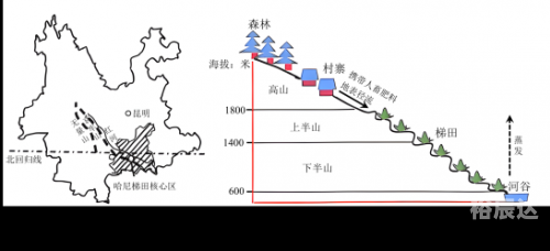 河北十一选五走势图分析-第1张图片