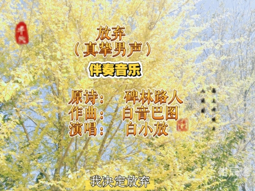 中国原创音乐伴奏网中国原创音乐伴奏网，引领音乐创作与传播的新篇章-第1张图片