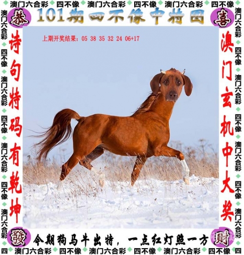 2024澳门天天六开奖怎么玩2024澳门天天六开奖玩法揭秘-第1张图片