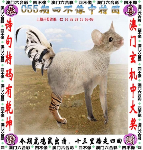 香港幵奖现场直播结果揭晓