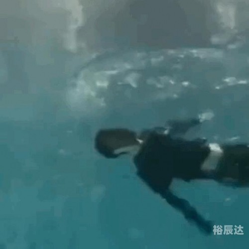 香港聊天室香港聊天室，畅聊古今中外-第1张图片