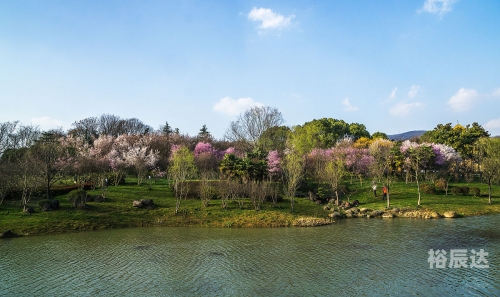 常德桃花源常德桃花源之旅-第1张图片