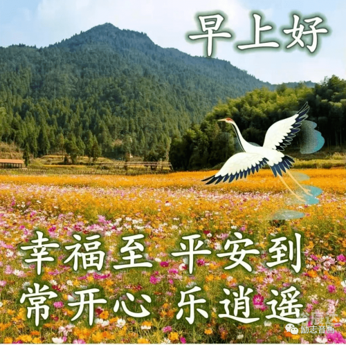 246天天好图片玄机每期文学资料天天好彩玄机图-第1张图片