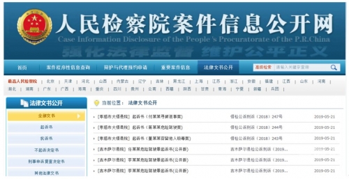 正版资料大全全年2019小说概述