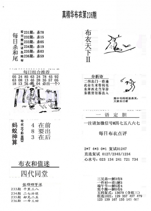 2024精华版布衣图全图解析