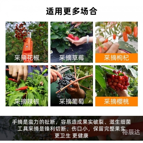 采摘网采摘网，高效便捷的农业工具