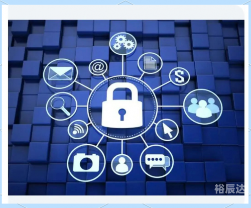 香港马会资枓大全2019，全面解析与展望