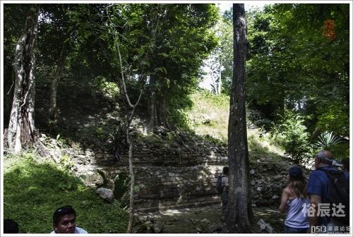 玛雅论坛地址更新器电影玛雅论坛地址更新器，探索神秘论坛的新篇章-第2张图片