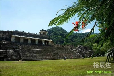 玛雅论坛地址更新器电影玛雅论坛地址更新器，探索神秘论坛的新篇章