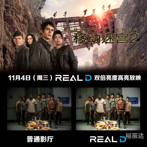 移动迷宫2迅雷下载攻略-第1张图片